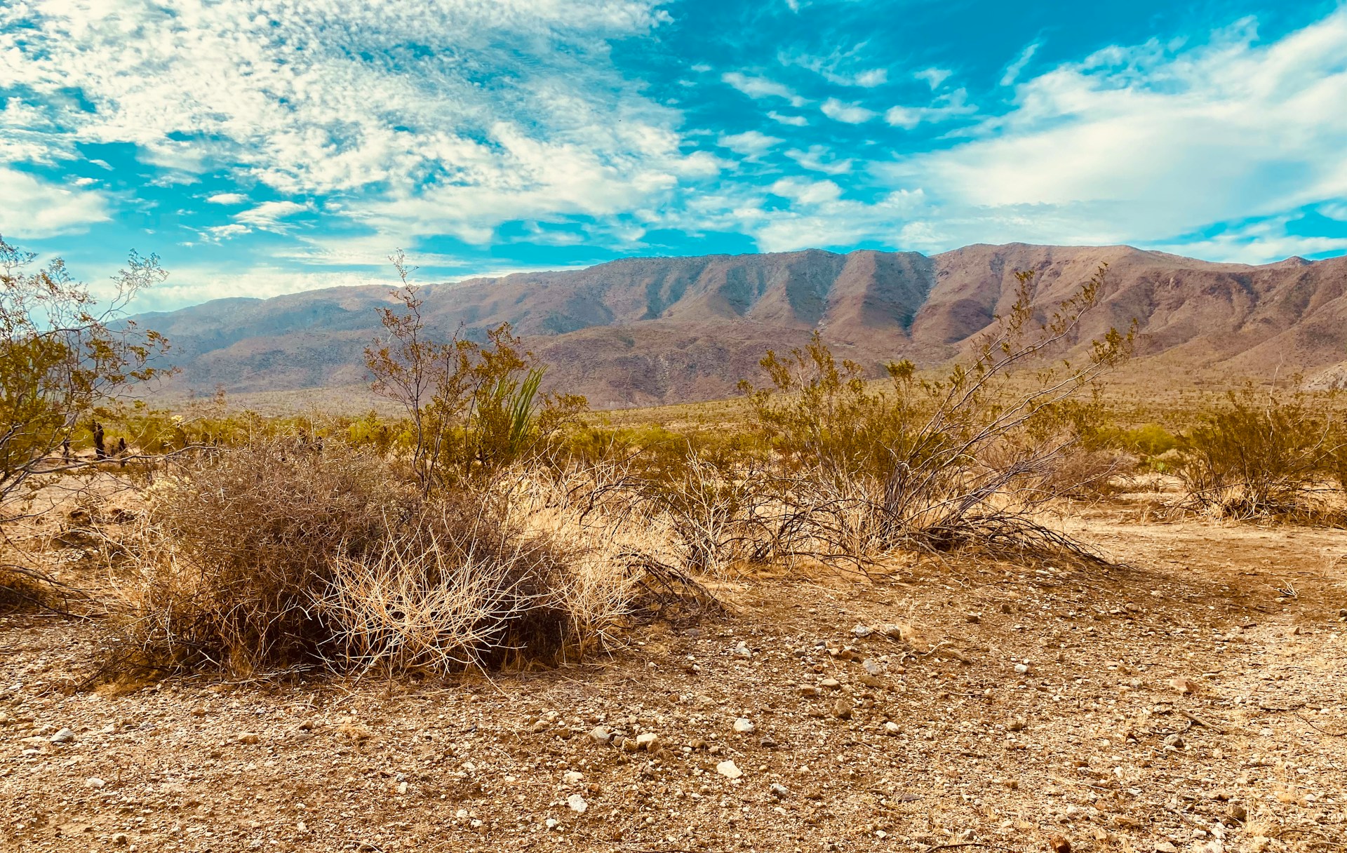 Borrego Springs, CA, USA