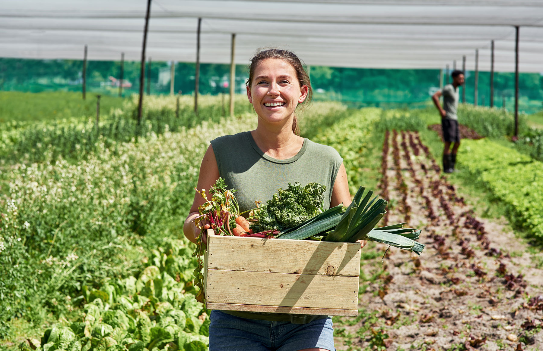 The Beginner’s Guide to WWOOFing: An Organic Farm Experience