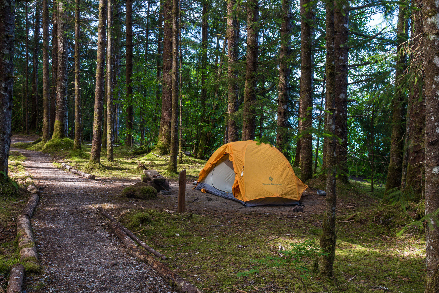 Top U.S. Campsites For The Wanderer In You