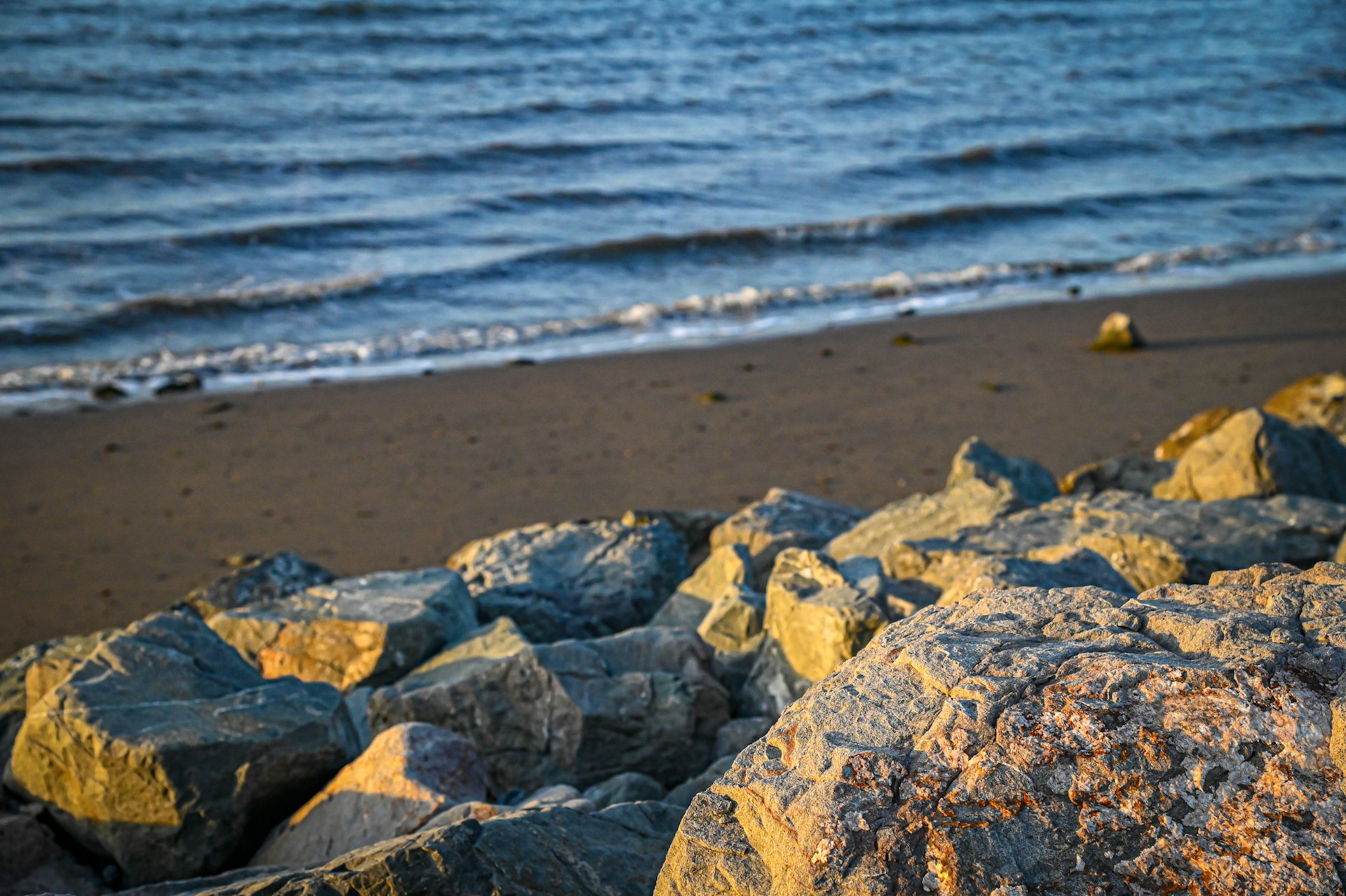 Close up rocks at beach during sunset - 
Coyote Point Recreation Area