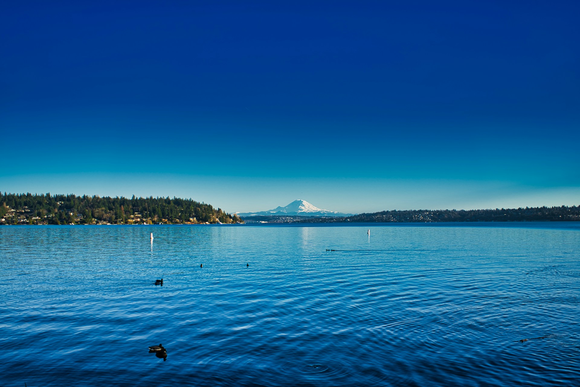 Seward Park, Seattle