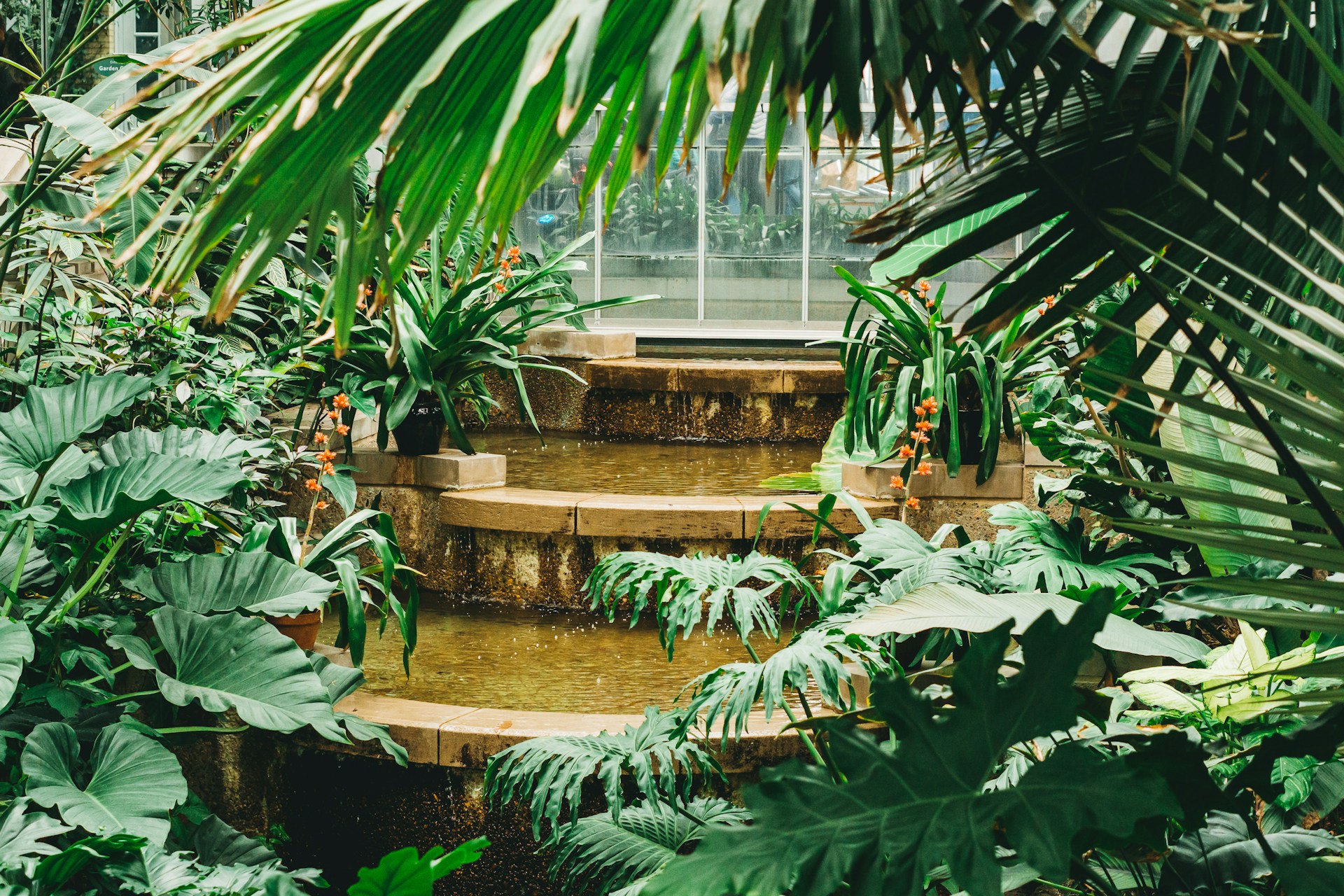 Botanical garden and fountain