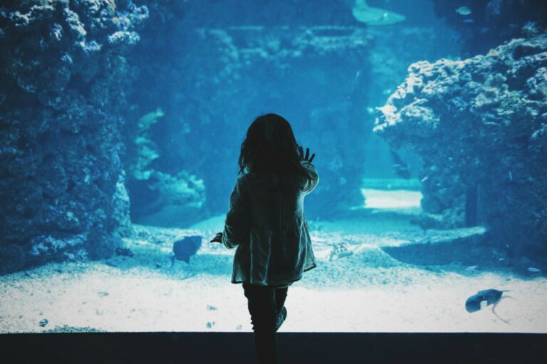 toddler girl viewing tank in aquarium