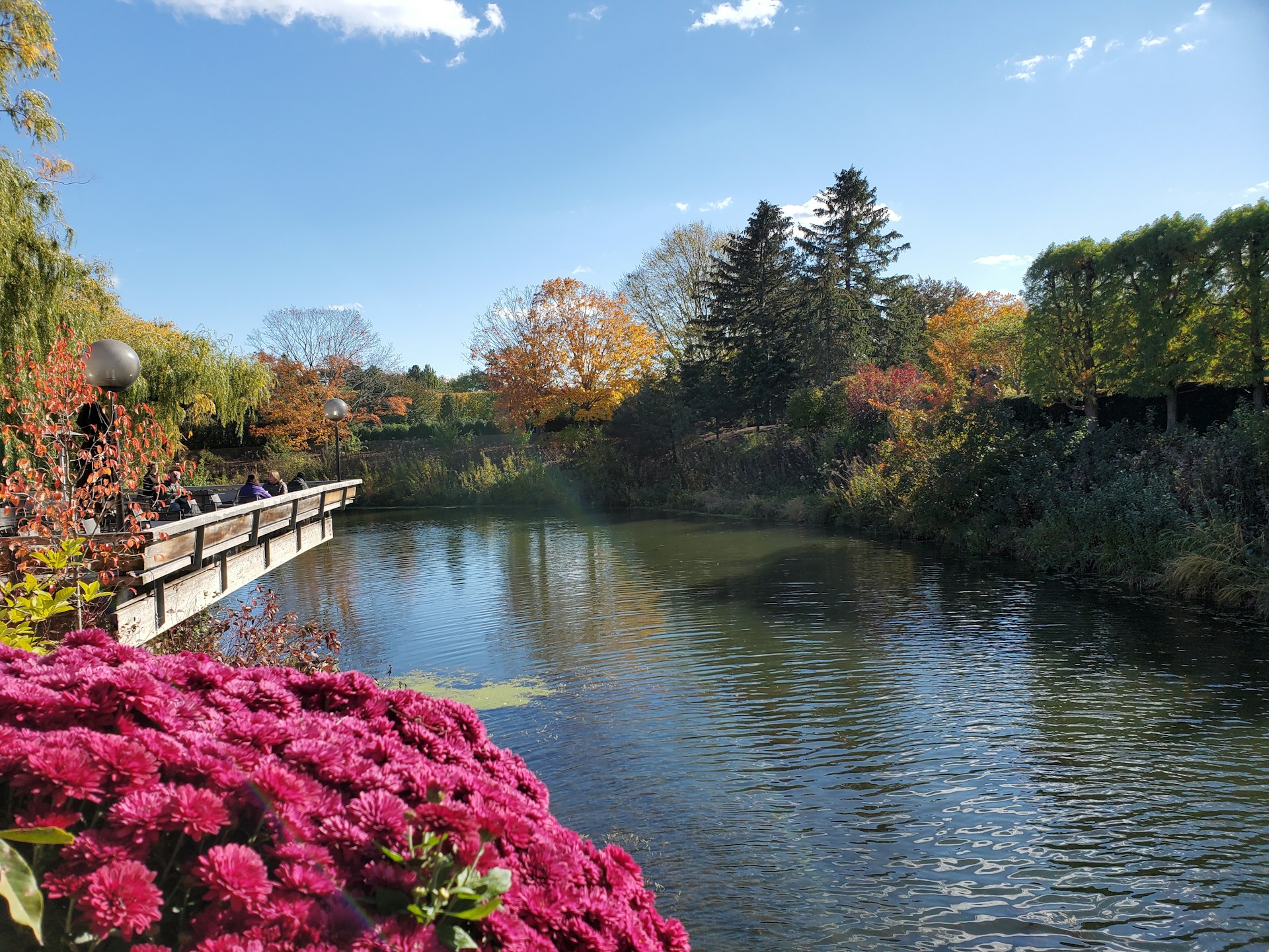 Fall at Chicago Botanic Garden