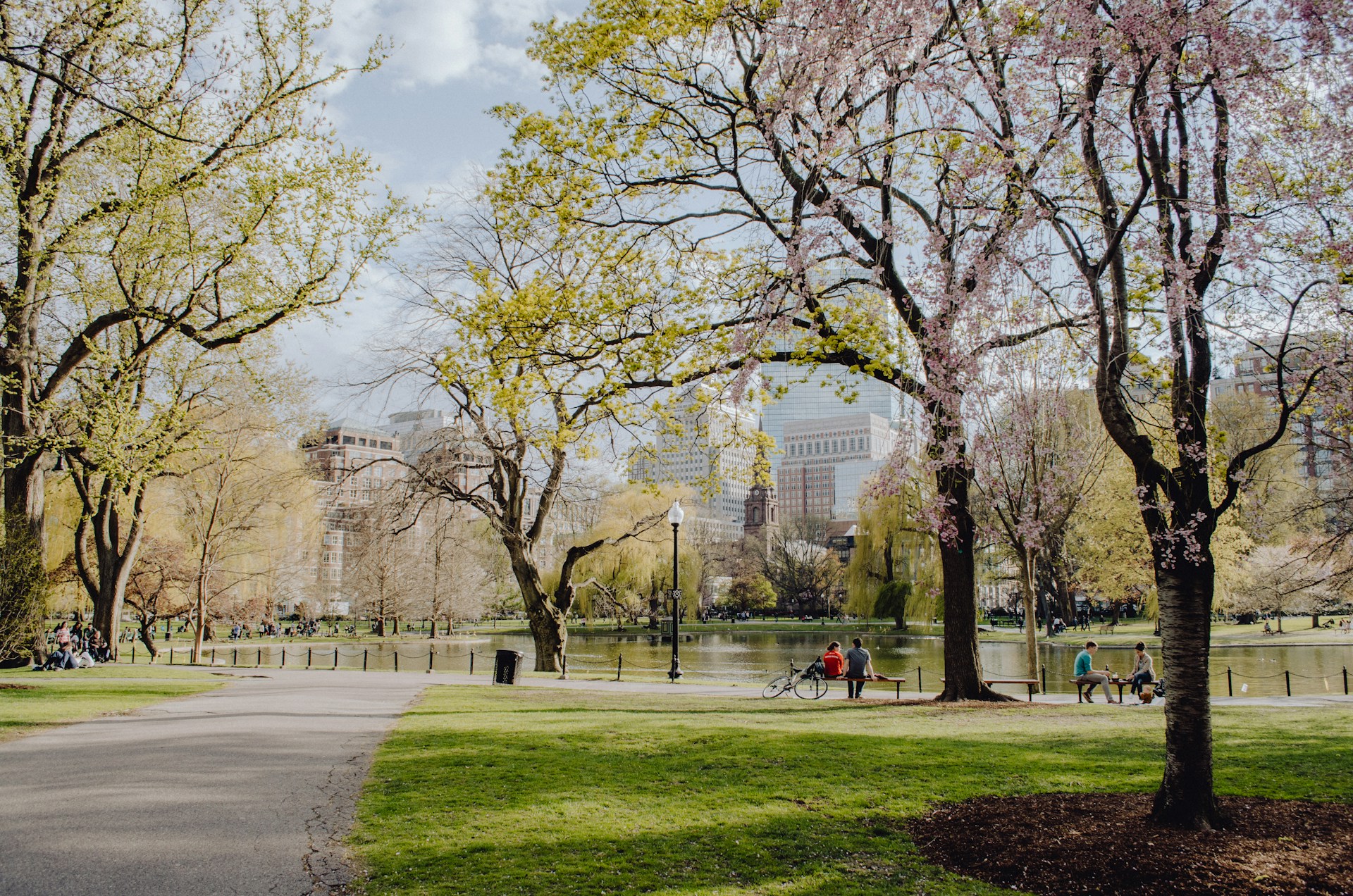 Boston Commons in the Spring, MA